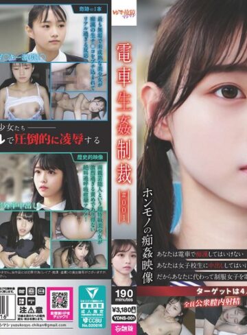 【抜けるAV】電車生姦制裁 ＃001｜ydns00001