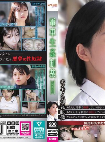 【抜けるAV】電車生姦制裁 ＃003｜ydns00003