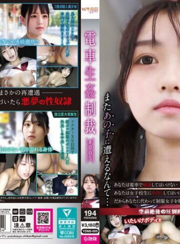 【抜けるAV】電車生姦制裁 ＃005｜ydns00005