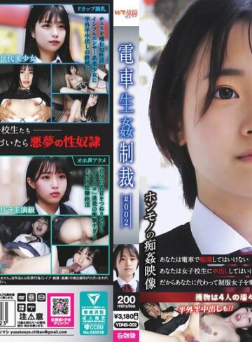 【抜けるAV】電車生姦制裁 ＃002｜ydns00002