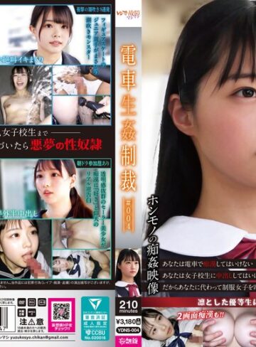 【抜けるAV】電車生姦制裁 ＃004｜ydns00004