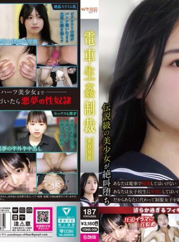 【抜けるAV】電車生姦制裁 ＃008｜ydns00008