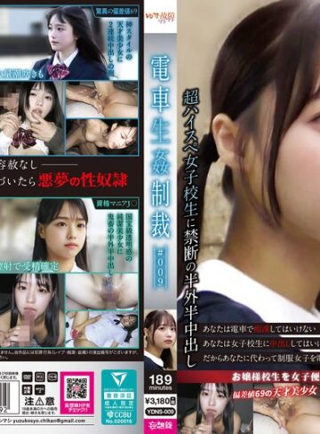 【抜けるAV】電車生姦制裁 ＃009｜ydns00009